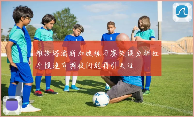 维斯塔潘新加坡练习赛失误分析红牛慢速弯调校问题再引关注